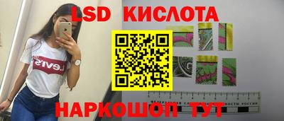 mdpv Заводоуковск