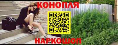 mdpv Заводоуковск