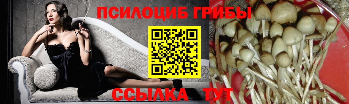 Галлюциногенные грибы Cubensis Магнитогорск